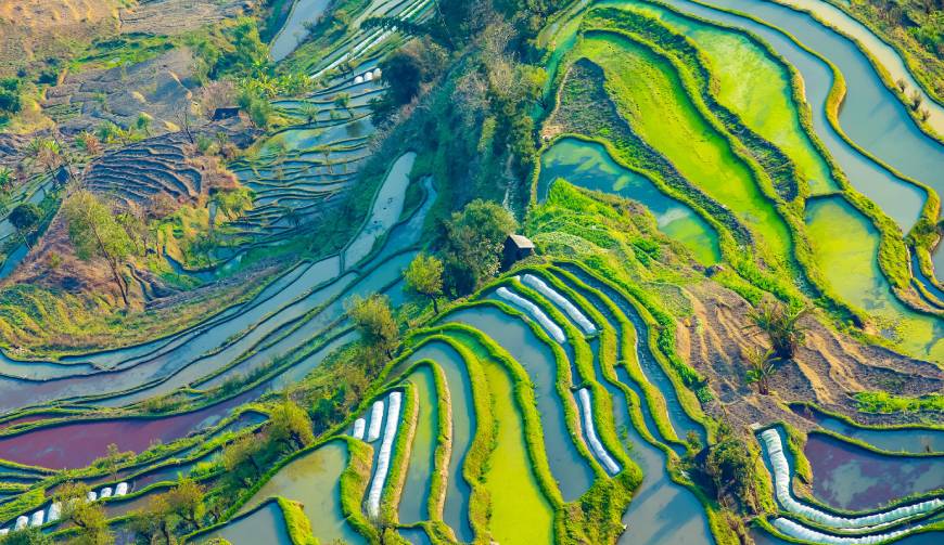 宝妈必备神器：通江县产品视频拍摄轻松育儿好帮手